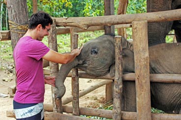 10 Days Cambodia and Laos Tour with Elephant Village Exploration
