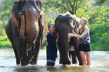 10 Days Culture and Nature Tour of Thailand and Cambodia