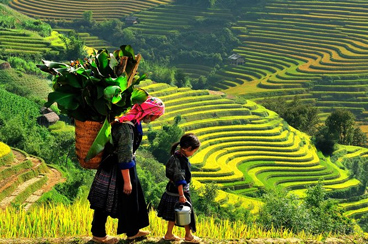 14 Days Vietnam and Cambodia Tour with Sapa Discovery