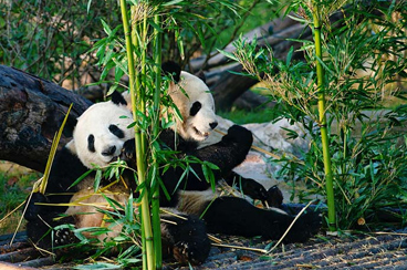 15 Days Adventure and Discovery in China and Vietnam