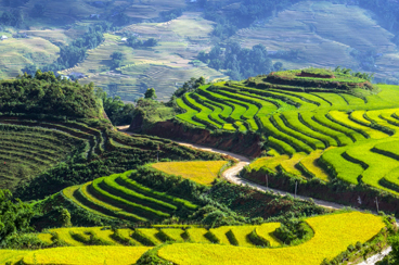 INT-V-ST03 3 Days Sapa Discovery Tour--更新