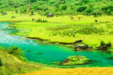 10 Days Phong Nha Ke Bang National Park Jungle Trek