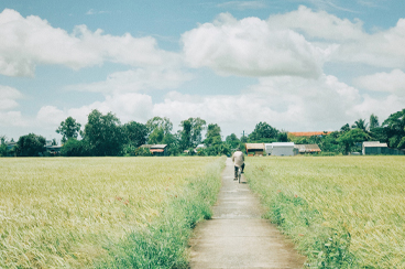 12 Days Vietnam Cambodia and Laos Tour with Hoi An Ancient Town