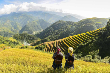 14 Days Vietnam and Thailand Tour with Night Train Experience to Sapa