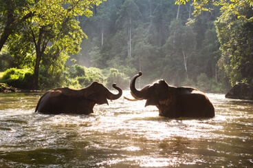 10 Days Bangkok to Saigon Relaxing Tour