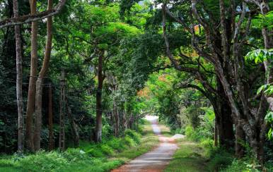 6 Days North Vietnam National Park Cycling Tour 