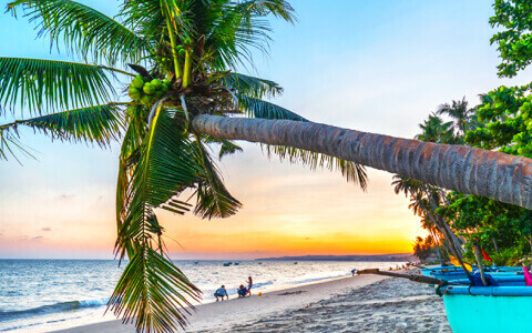 When Is the Best & Worst Time to Visit Vietnam in2025?