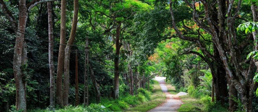 INT-V-CT06 6 Days North Vietnam National Park Cycling Tour 