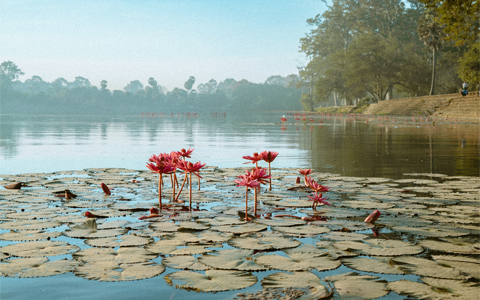 Get to Cambodia from Thailand by Flight, Train, Bus, and Ferry – The Latest Schedule 2025 