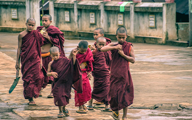 burmese little monks