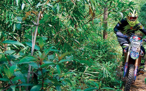 Cambodia Motorbike Tours: Best Customized Motorbike Tour Routes