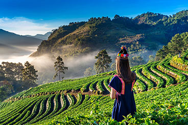 14 days Vietnam, Cambodia and Thailand Tour