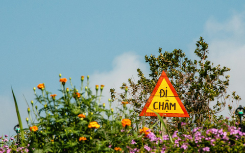 Find the Natural Beauty of Dalat! (Vietnam)