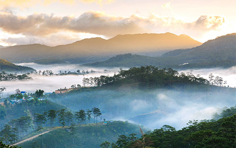 Best & Fun 10 Things to Do in Dalat, Vietnam