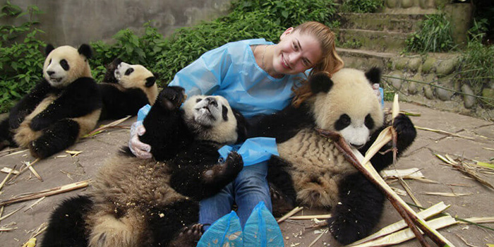dujiangyan-panda-base-volunteer-activities