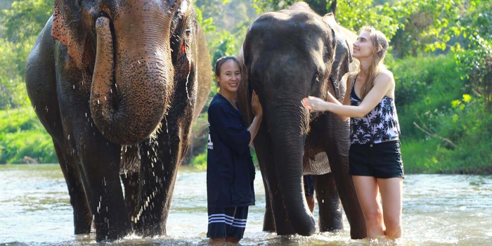 have-a-water-play-with-lovely-elephants-in-chiang-mai
