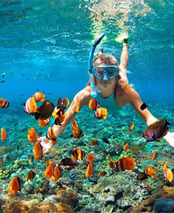 koh rong snorkeling