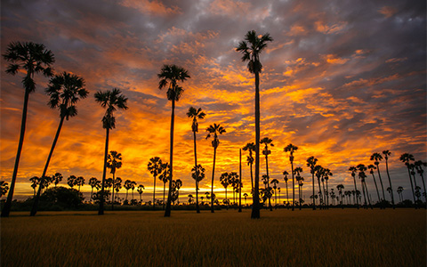 Thailand Weather in March: Temperature, Climate and Can I Visit in March of Thailand?