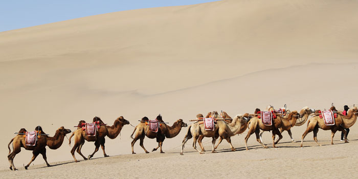 mingsha-sand-dune-700