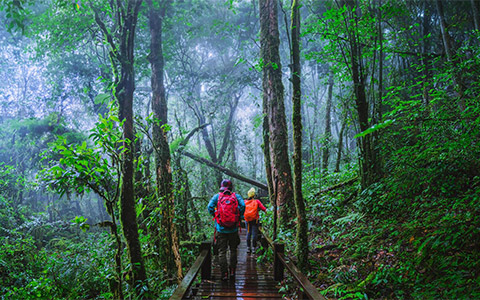 When Is the Rainy Season in Thailand? What Is the Weather like in the Rainy Season of Thailand? 