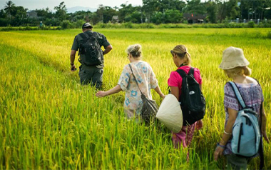 sapa-rice-paddy-terrace-vietnam