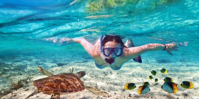 Snorkeling in Thailand Phuket