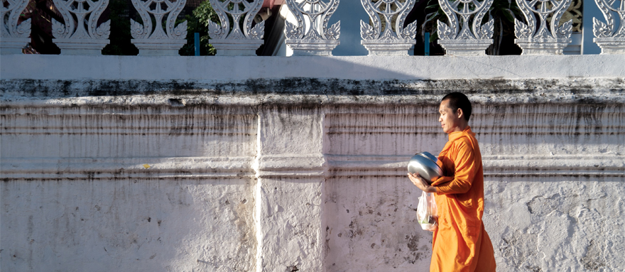 INT-T-MC07 7 Days Bangkok and Chiang Mai Discovery Tour