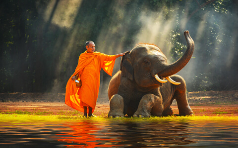 Thailand Tour with Thailand Local Travel Agency