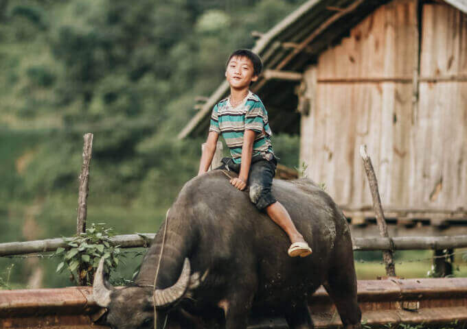 kid-with-water-buffalo