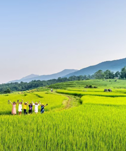 trekking-rice-terrace