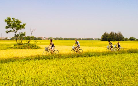 Vietnam Bike Tours: Customized Cycling Trips by Local Agency