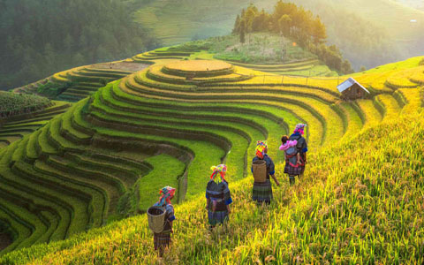 How to Get to Sapa from Hanoi in the Most Convenient and Cheapest Way 2025?