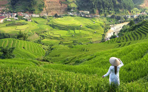 Weather in Vietnam Sapa: the Ultimate Sapa Weather Guide