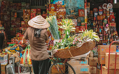 Weather in Vietnam in November: Comfortable to Visit Vietnam