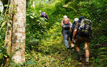 vietnam trekking tour