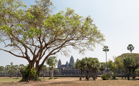 The Best Time to Visit Angkor Wat of Cambodia for 2025