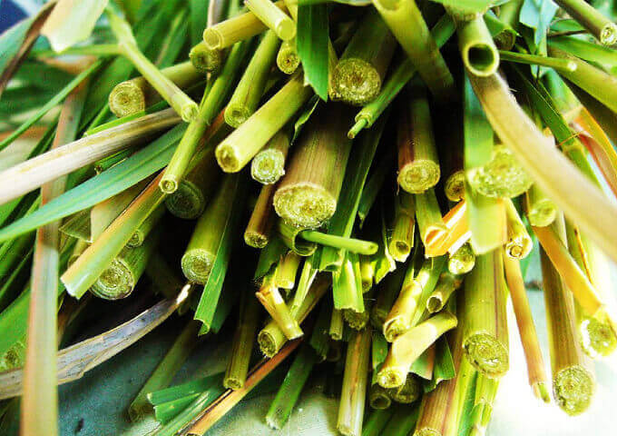 lemongrass